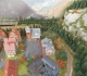 Mountains and trees